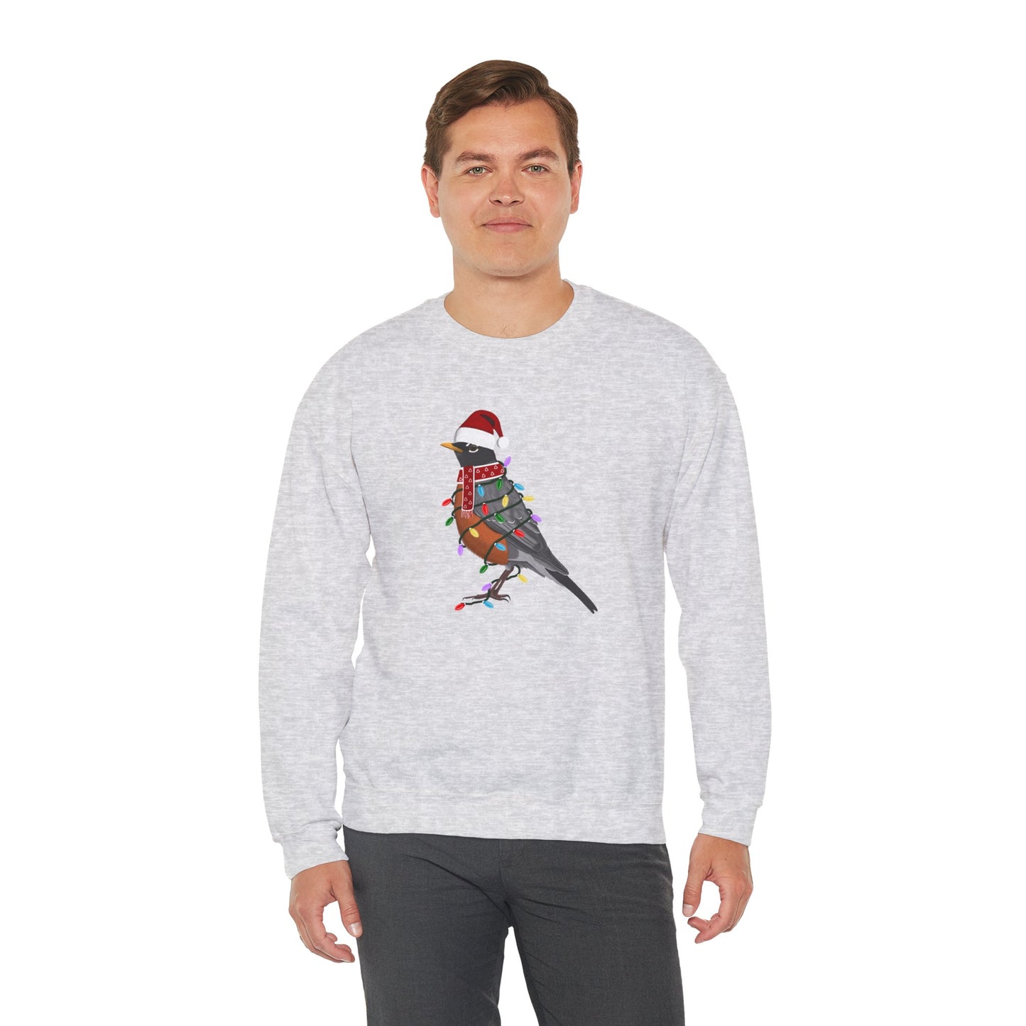 Robin with Fairy Lights Santa Claus Christmas Bird Sweatshirt