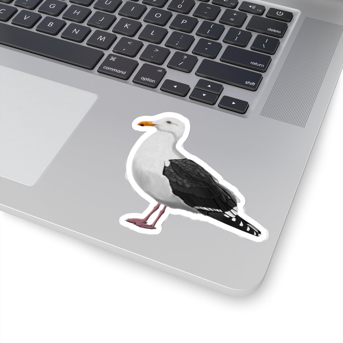 Seagull Bird Kiss-Cut Sticker