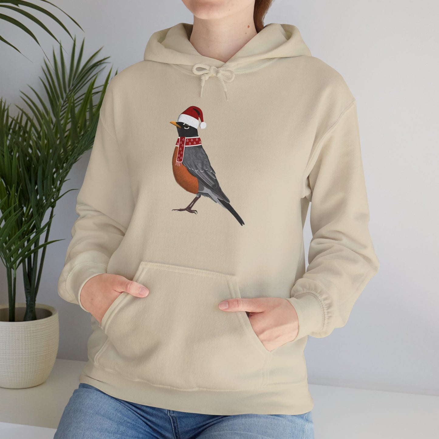 Robin Christmas Bird with Santa Hat Birdwatcher Birdlover Hoodie