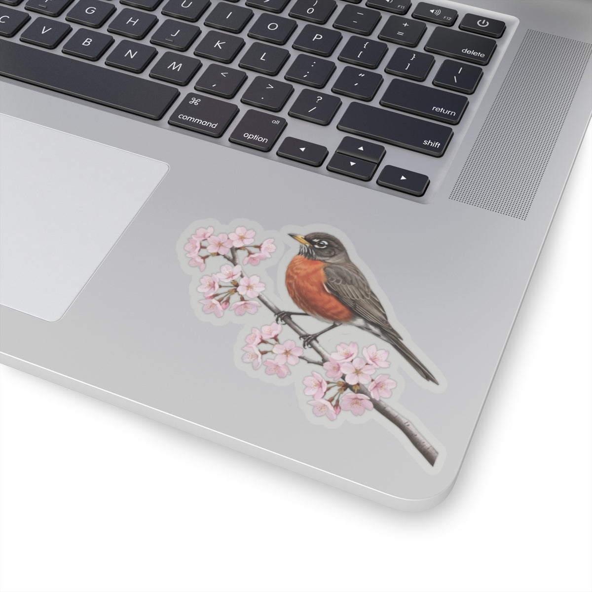 American Robin Cherry Blossom Sticker | Glossy Floral Bird Decal | Spring Laptop Sticker