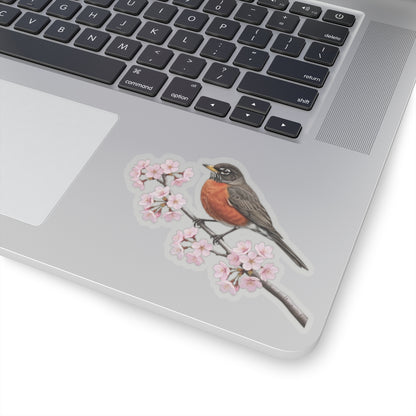 American Robin Cherry Blossom Sticker | Glossy Floral Bird Decal | Spring Laptop Sticker