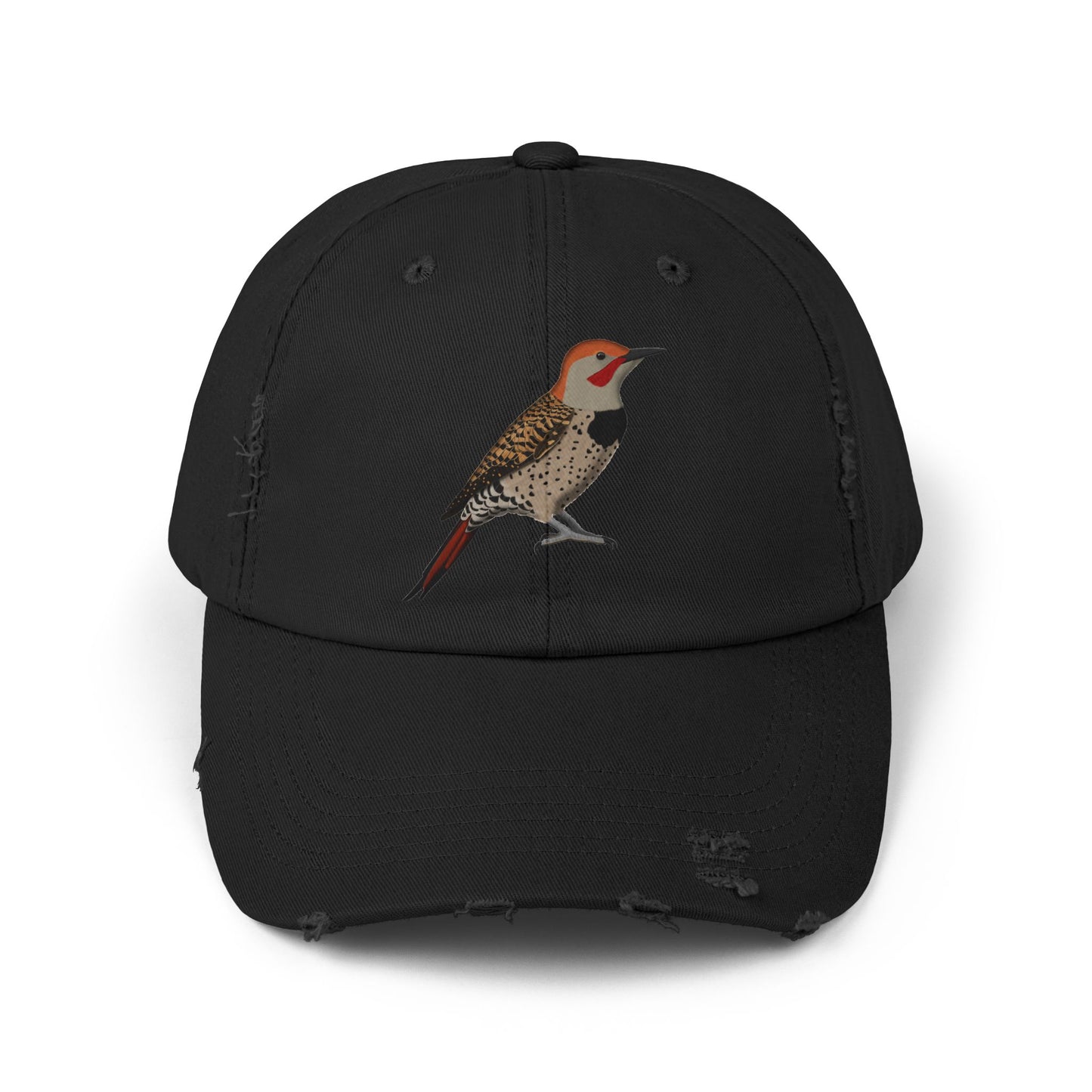 Northern Flicker Bird Art Distressed Cap