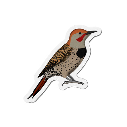 Northern Flicker Bird Magnet