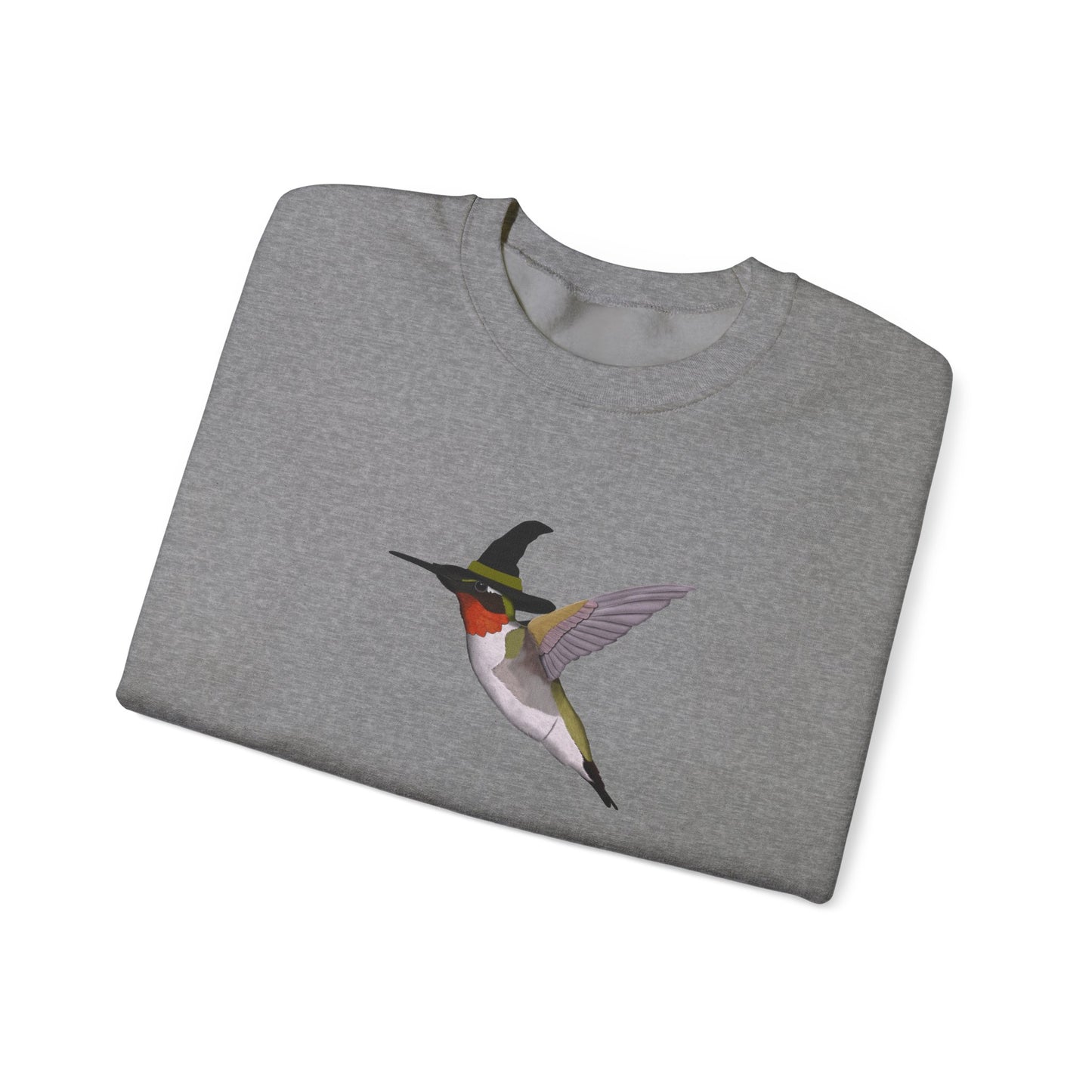 Hummingbird Halloween Birds Witch Birdwatcher Sweatshirt