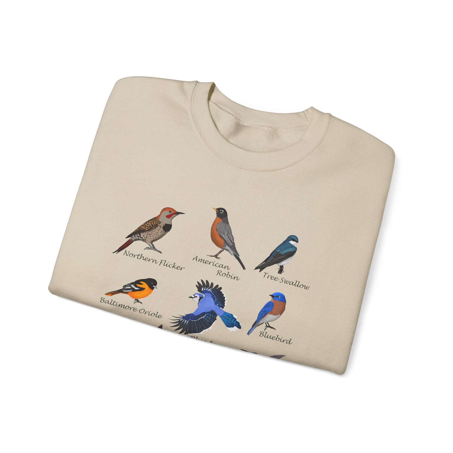 Blue Jay Cardinal Oriole Robin Hummingbird Birding & Birdwatching Bird Sweatshirt