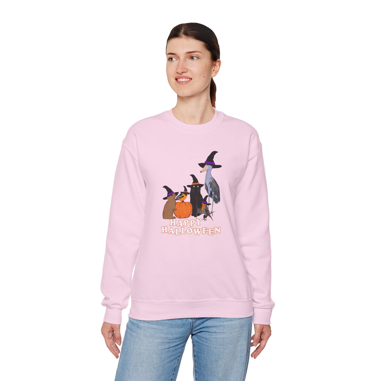 Robin Shoebill Oriole Rabbit with Cat Happy Halloween Birds Sweatshirt