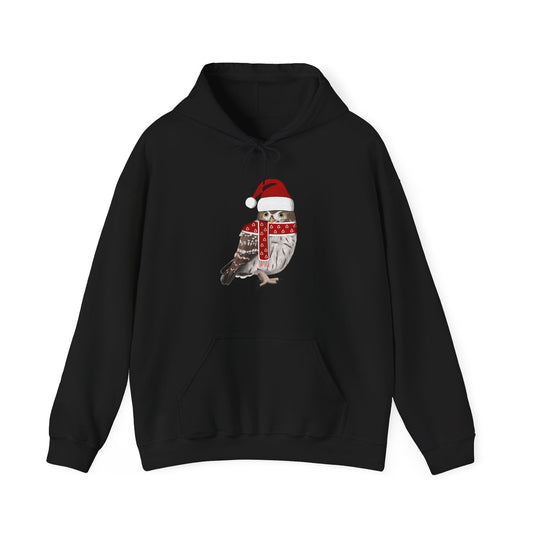 Owl Christmas Bird with Santa Hat Birdwatcher Birdlover Hoodie