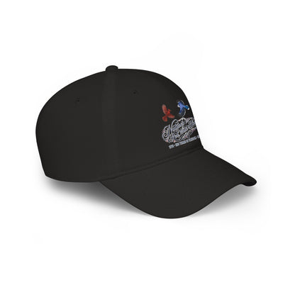 Nature's Red, White & Blue Baseball Cap | Blue Jay Cardinal USA 250 Edition | jz.birds