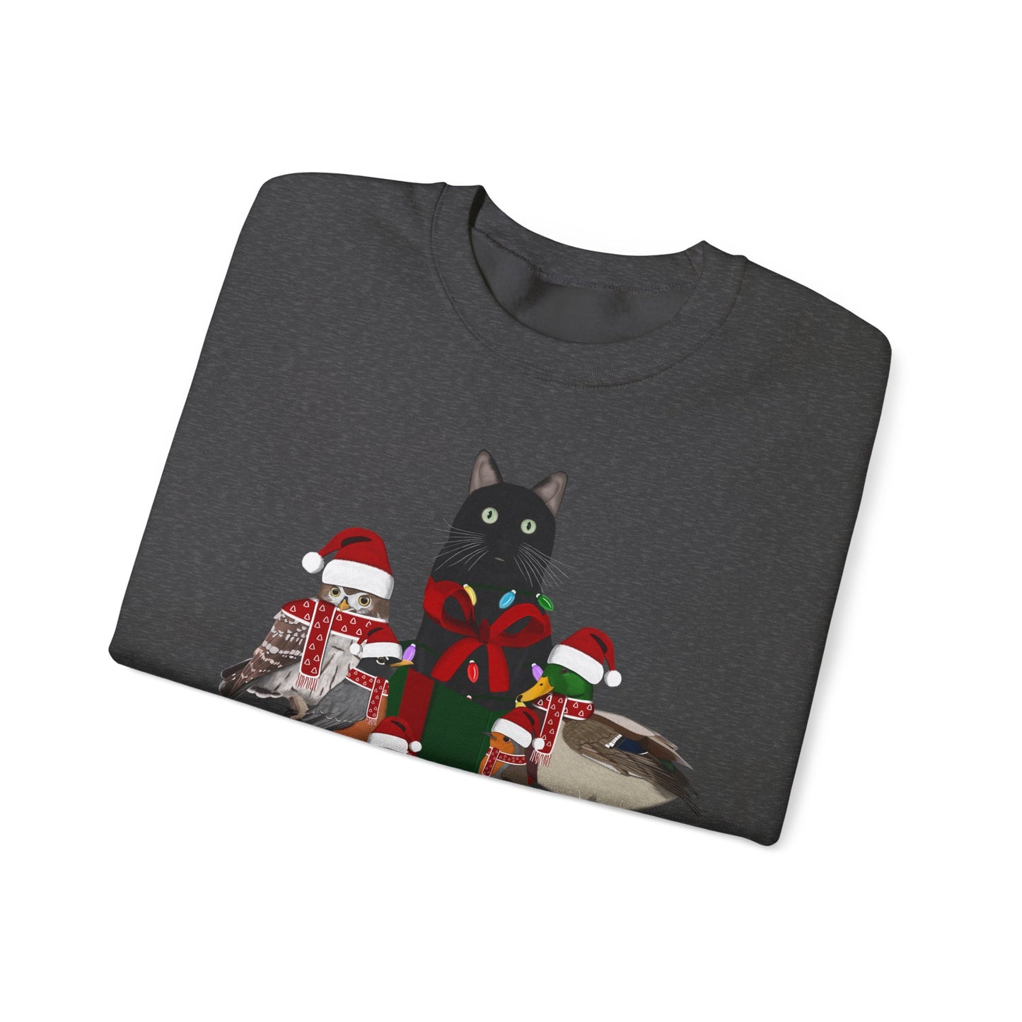 Robin Mallard Oriole Owl with Cat in a Box and Fairy Lights Birdwatcher Christmas Bird Sweatshirt