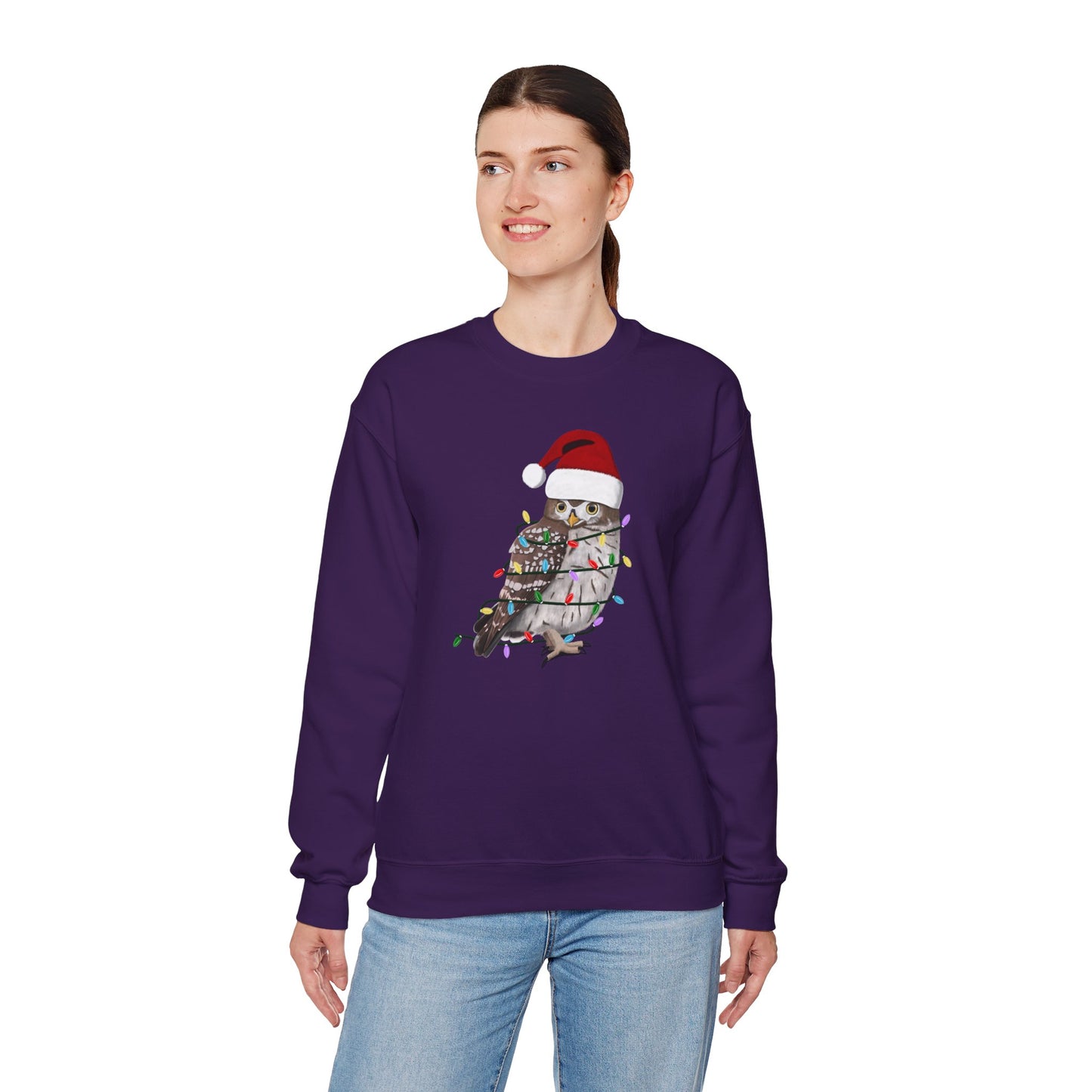 Owl with Fairy Lights Santa Claus Christmas Bird Sweatshirt