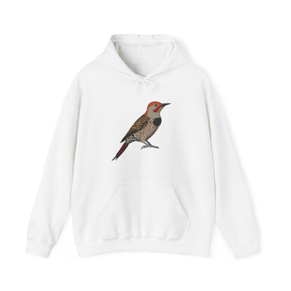 Northern Flicker Bird Birdwatching Birder Hoodie