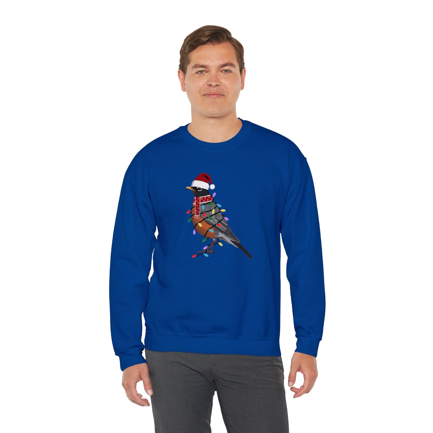 Robin with Fairy Lights Santa Claus Christmas Bird Sweatshirt