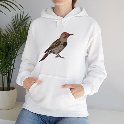 Northern Flicker Bird Birdwatching Birder Hoodie