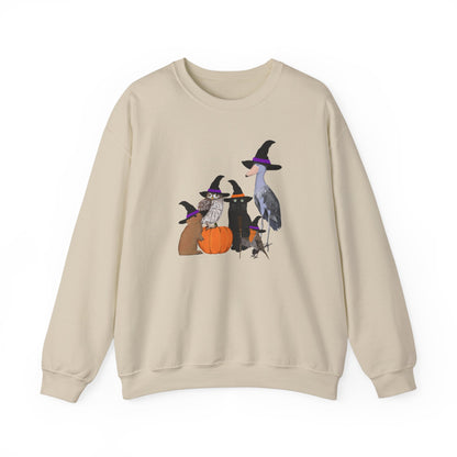 Robin Shoebill Owl Rabbit with Cat Happy Halloween Birds Sweatshirt