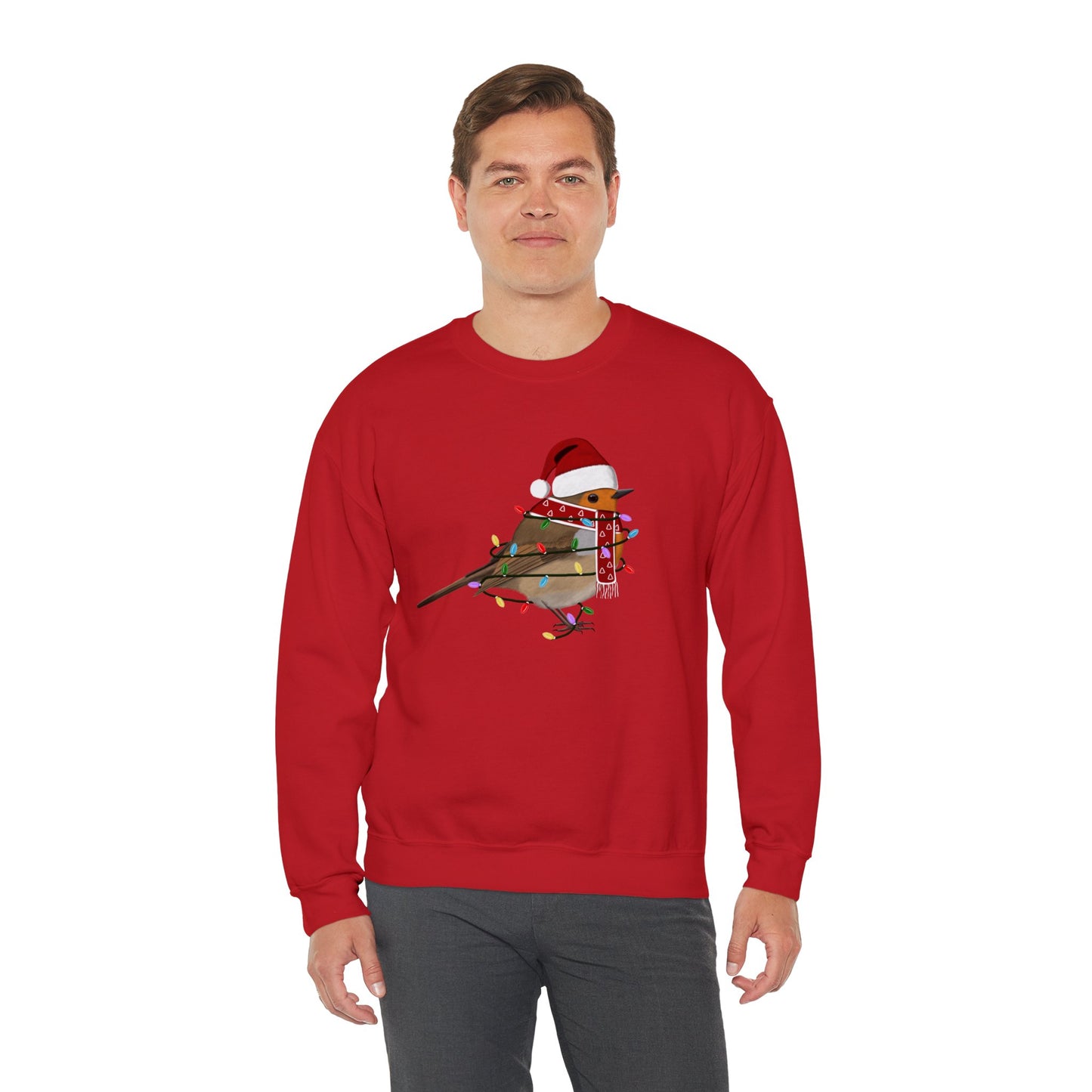 European Robin with Fairy Lights Santa Claus Christmas Bird Sweatshirt