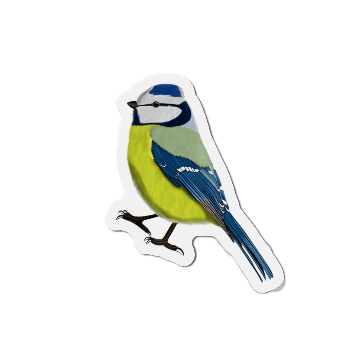 Blue Titmouse Bird Magnet