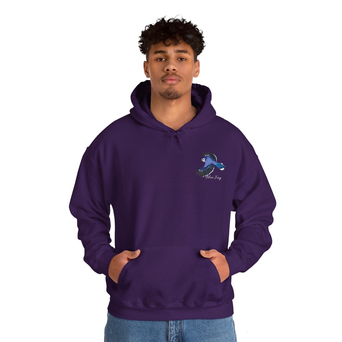 Blue Jay Birding Birdwatching Bird Hoodie