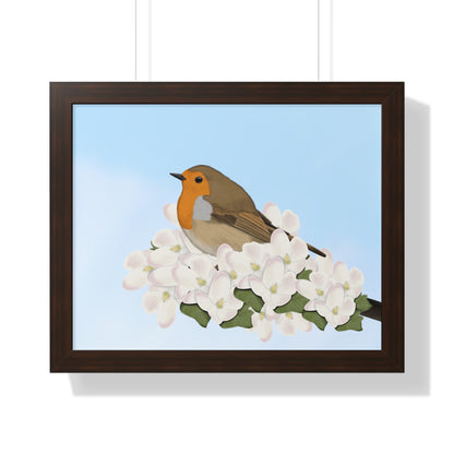 Robin Spring Blossoms Bird Framed Poster