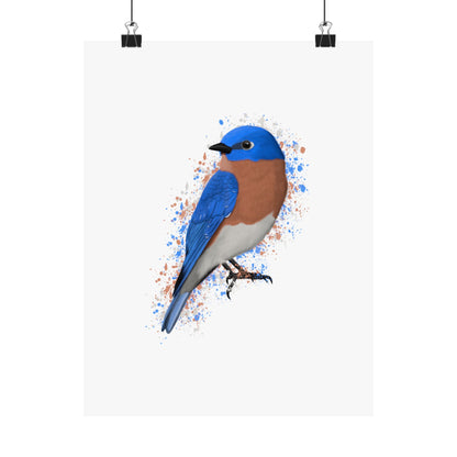 Bluebird Bird Artwork Matte Poster