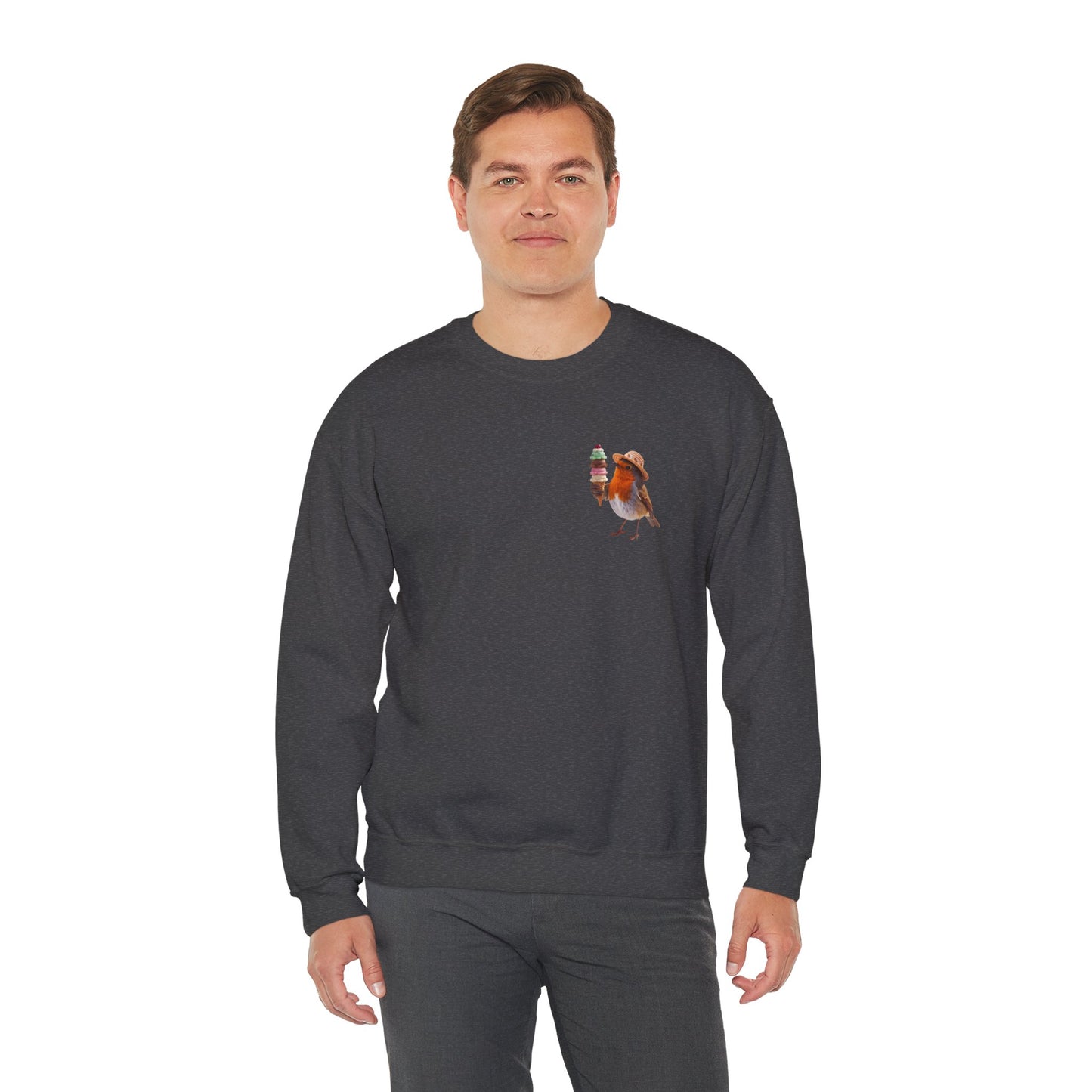 Robin Rosi Ice Cream Pocket Premium Sweatshirt for Bird Lovers
