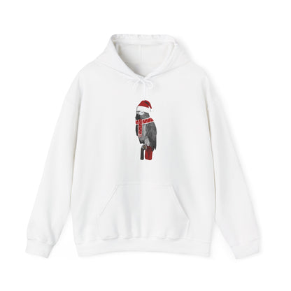 Grey Parrot Christmas Bird with Santa Hat Birdwatcher Birdlover Hoodie