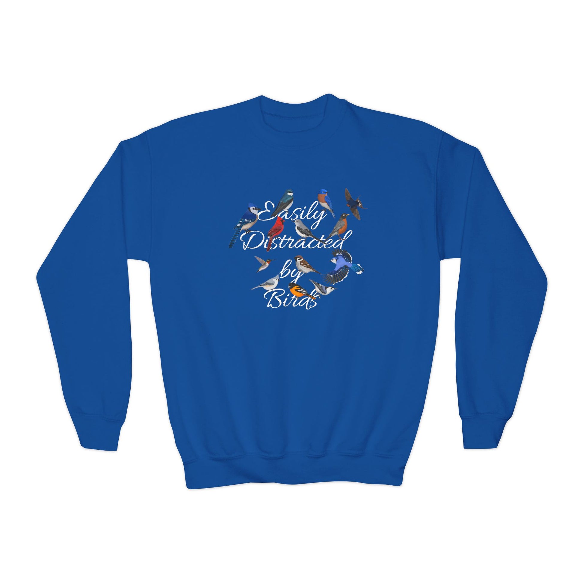 Hummingbird, Bluebird, Blue Jay, Cardinal and Nuthatch Youth Sweatshirts – Casual Kids Clothing, Cool Weather Outfit