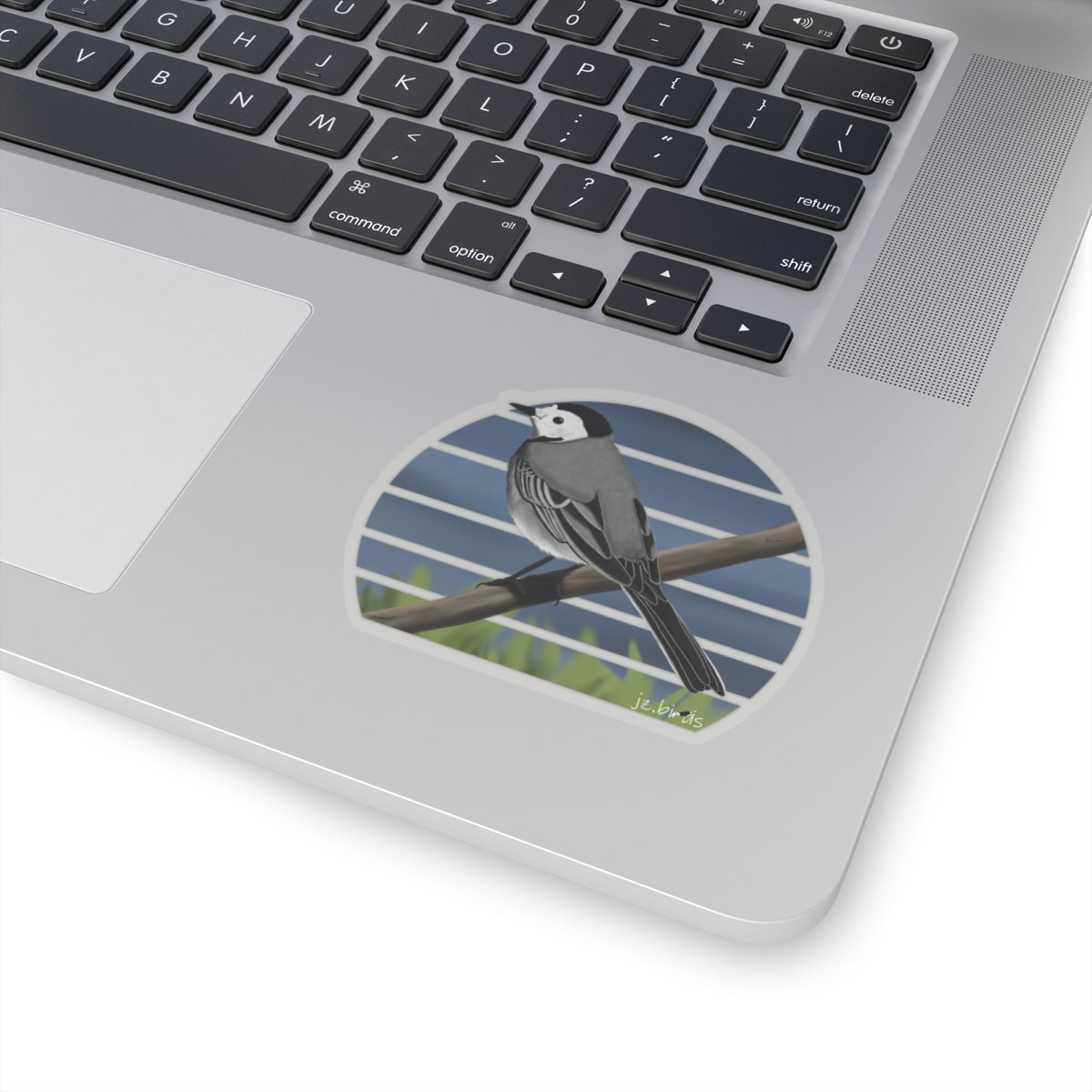 Wagtail Bird Sticker