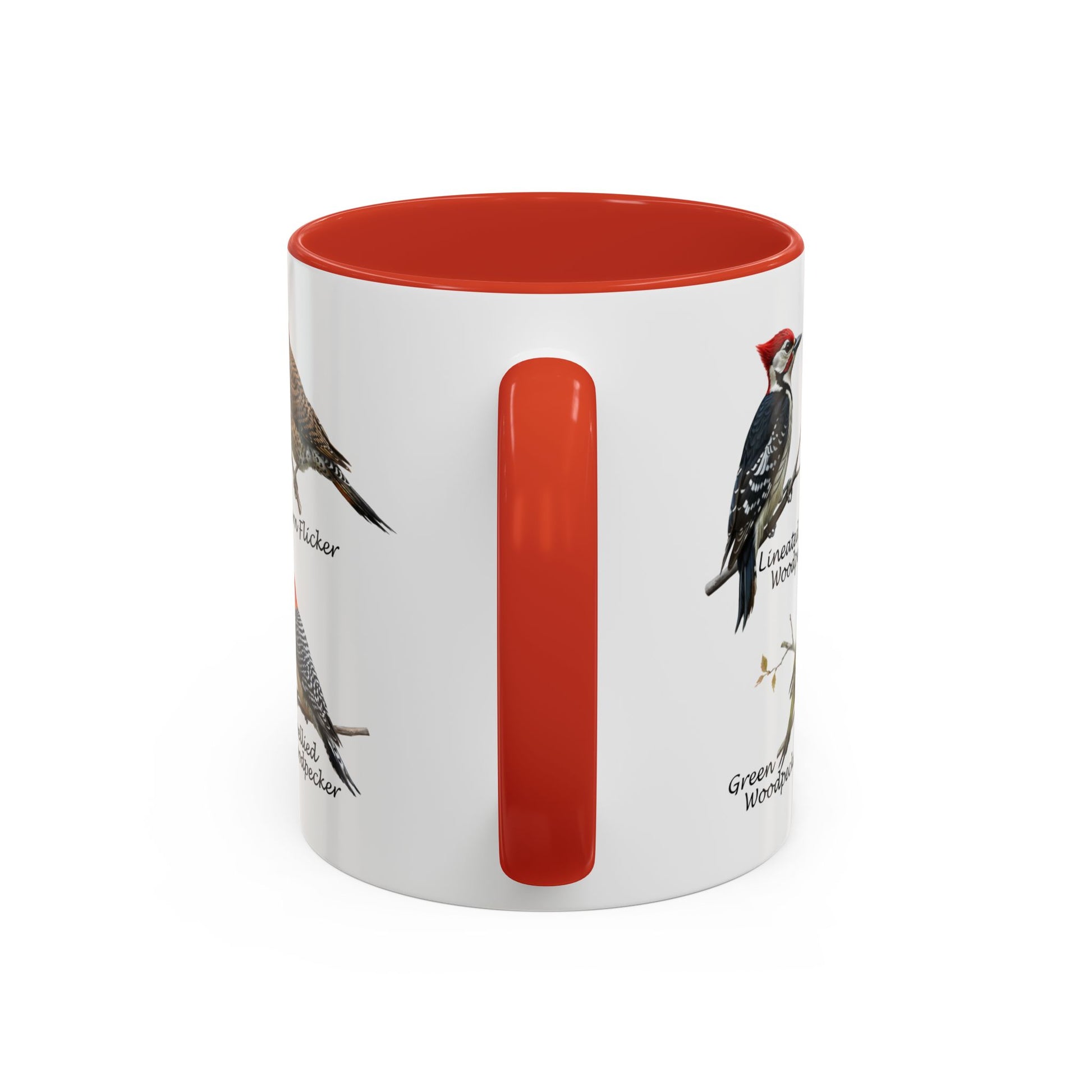 Woodpecker Field Guide Coffee Mug | Two-Tone Bird Watcher Accent Cup – 11 oz,