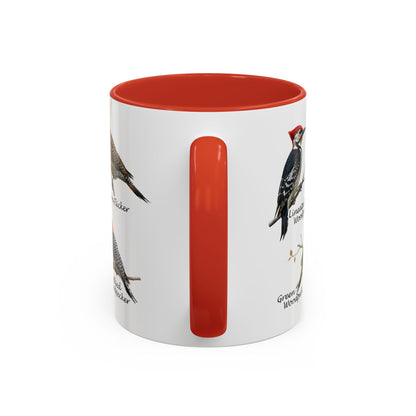 Woodpecker Field Guide Coffee Mug | Two-Tone Bird Watcher Accent Cup – 11 oz,