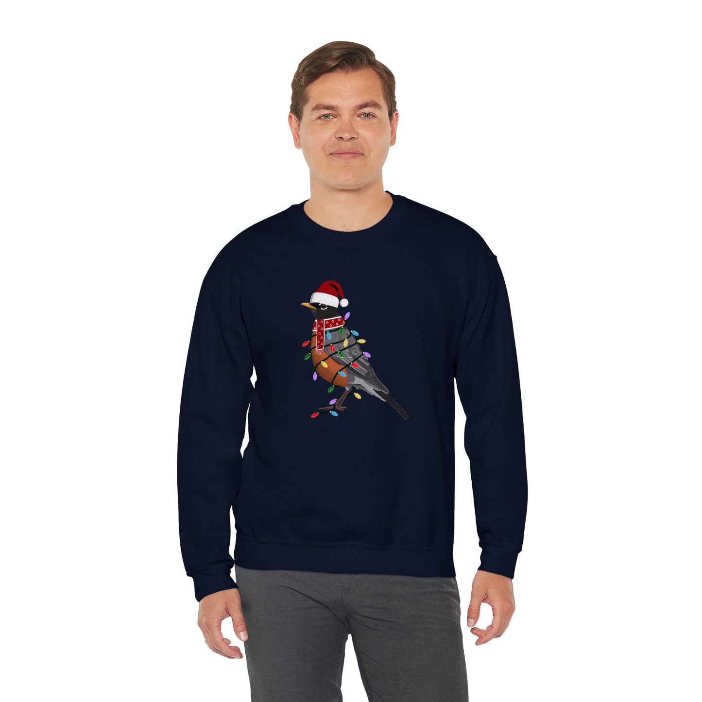 Robin with Fairy Lights Santa Claus Christmas Bird Sweatshirt