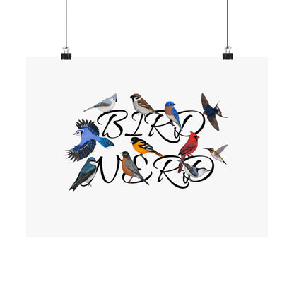 Bird Nerd Robin Cardinal Blue Jay Bird Birding Matte Poster