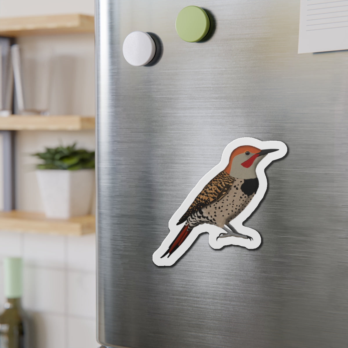 Northern Flicker Bird Magnet