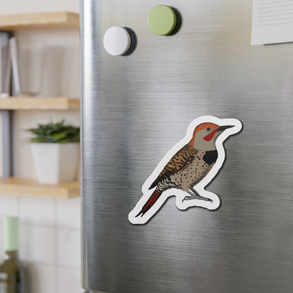 Northern Flicker Bird Magnet