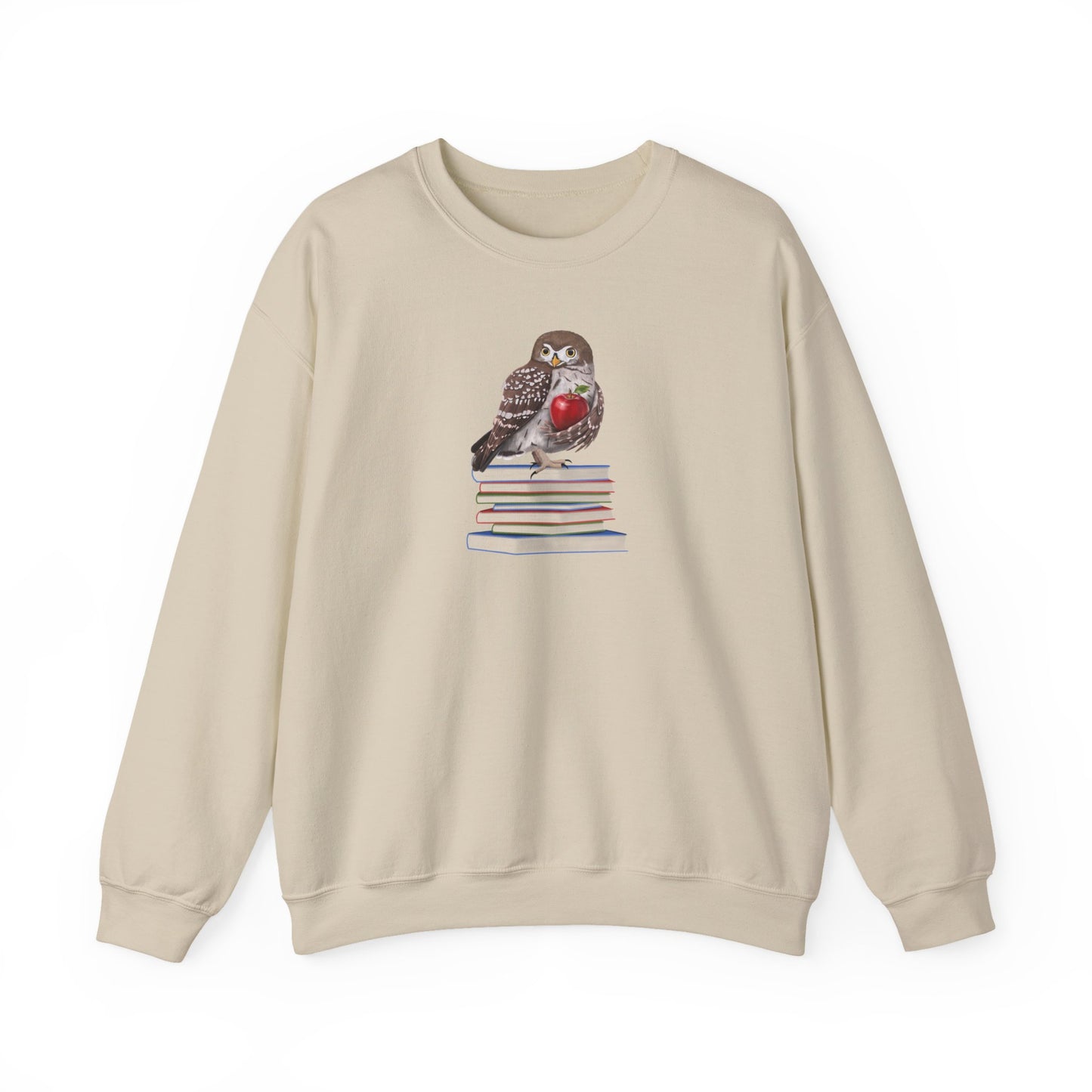 Cute Owl on Books Teacher Sweatshirt – Cozy Back to School Aesthetic