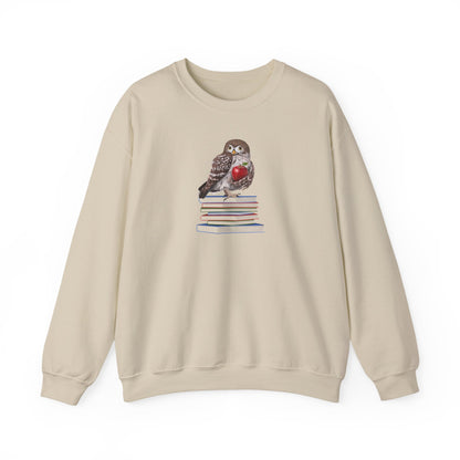 Cute Owl on Books Teacher Sweatshirt – Cozy Back to School Aesthetic