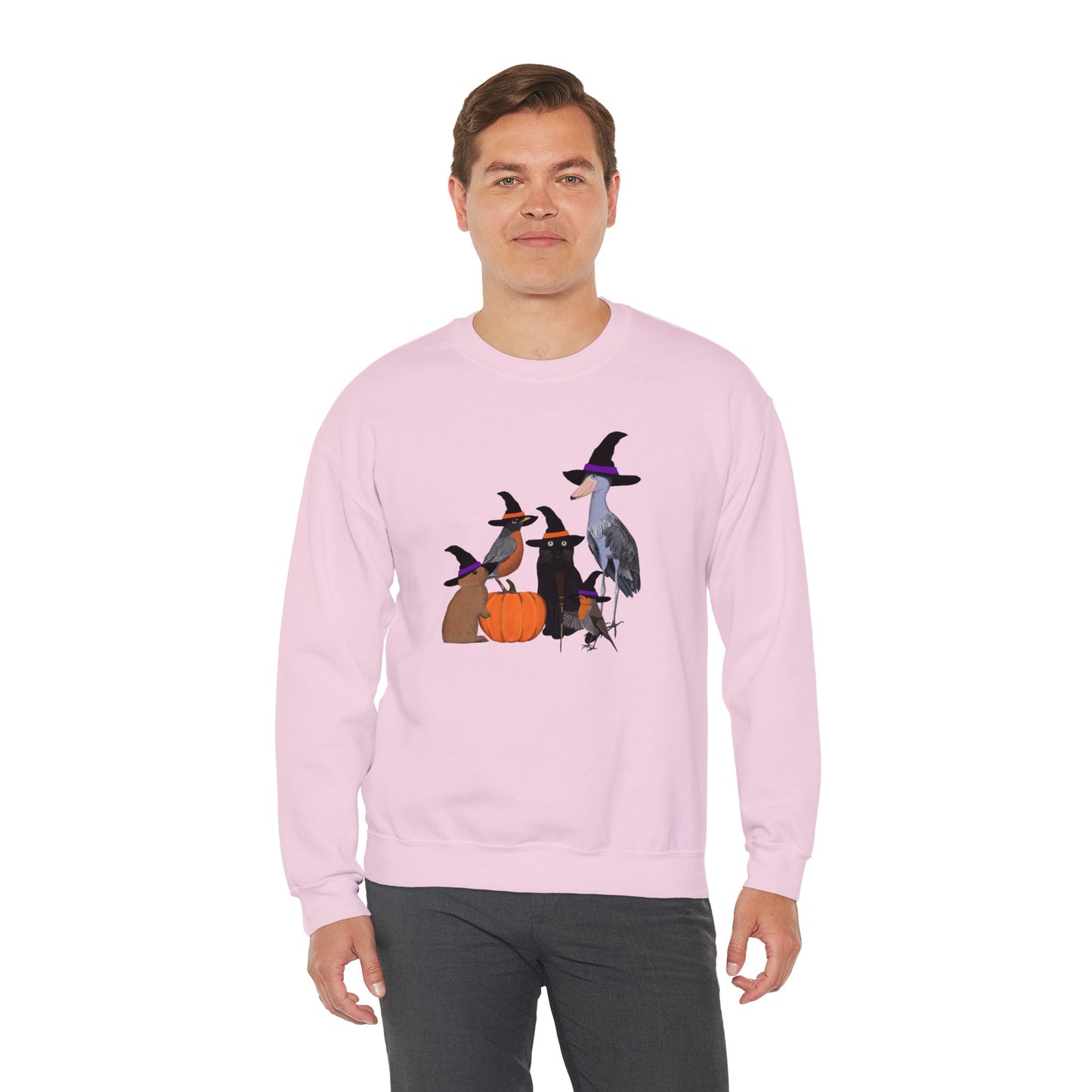 Robin Shoebill Rabbit with Cat Happy Halloween Birds Sweatshirt