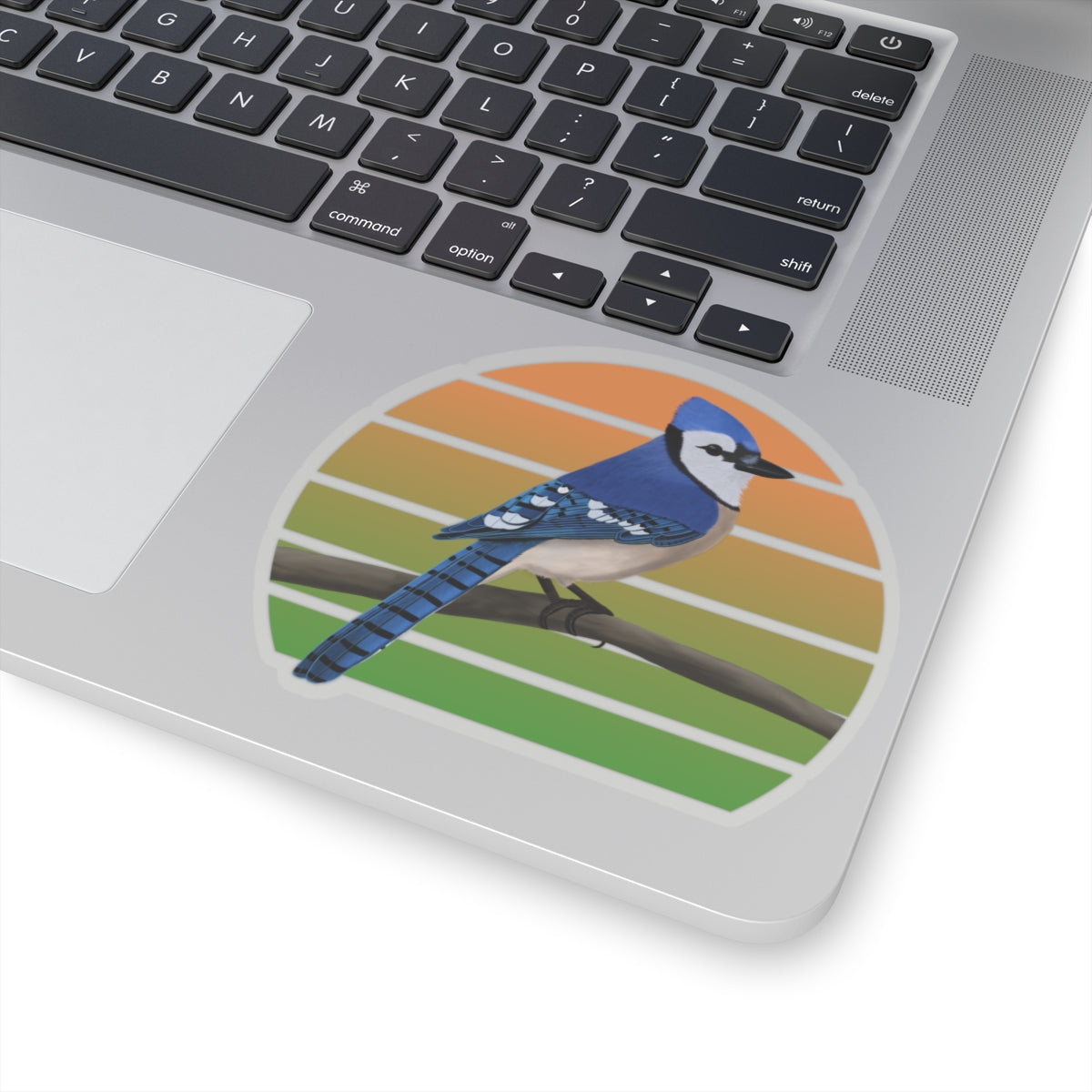 Blue Jay Bird Sticker