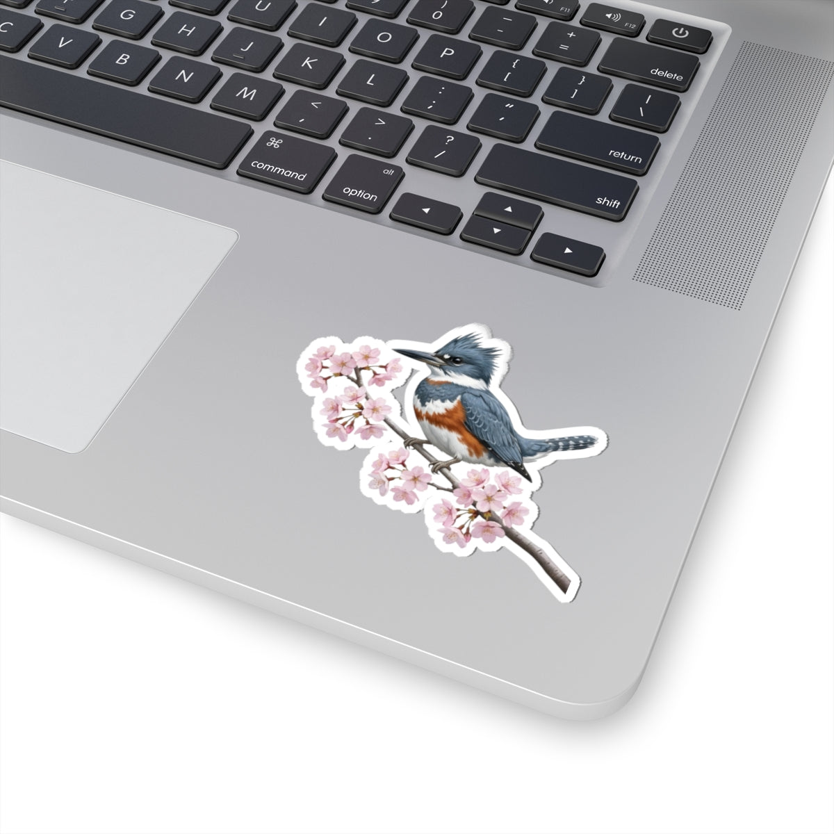 Belted Kingfisher Cherry Blossom Sticker | Glossy Floral Bird Decal | Spring Laptop Sticker