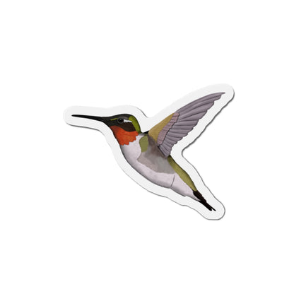 Hummingbird Bird Magnet