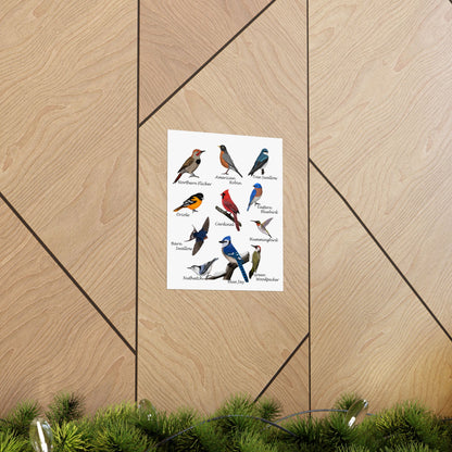 Backyard Birds Blue Jay Cardinal Hummingbird Bluebird Oriole Robin Matte Bird Poster