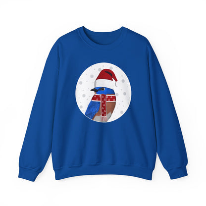 Bluebird Santa Claus Christmas Birdwatcher Biologist Bird Sweatshirt