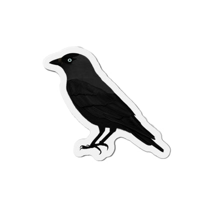 Western Jackdaw Bird Magnet