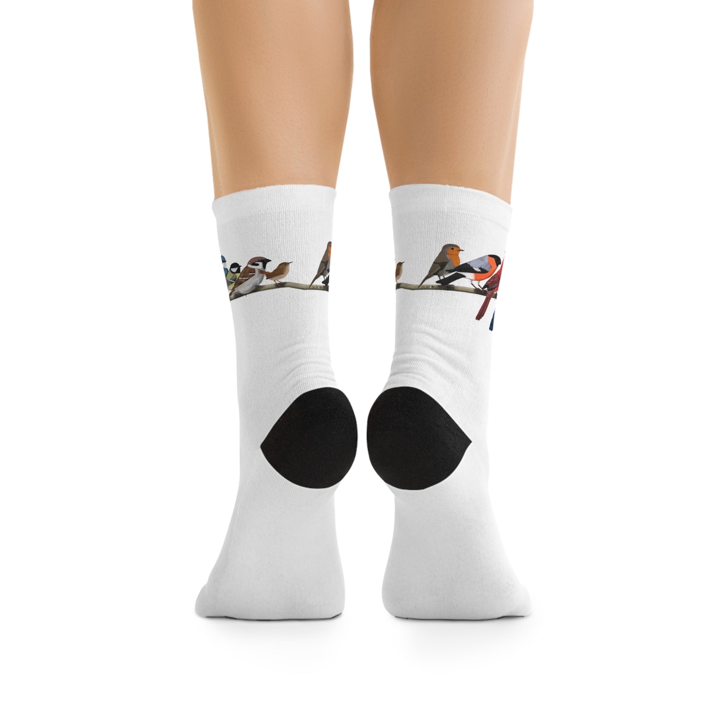 Garden Birds Blue Jay Cardinal Bullfinch Birding & Birdwatching Bird Socks White