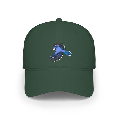 Blue Jay Hat – green, One size, Cotton
