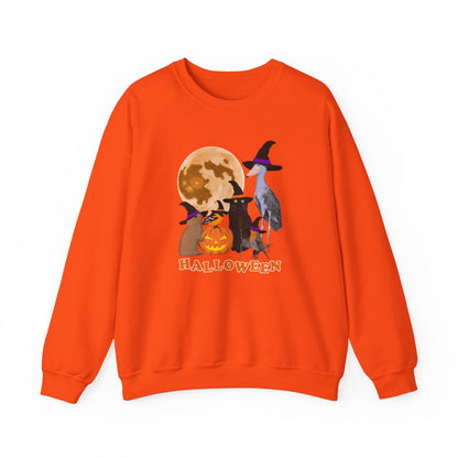 Oriole Robin Shoebill Rabbit with Cat and Bunny Halloween Bird Sweatshirt