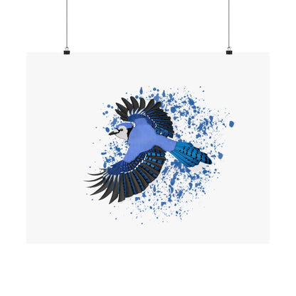 Blue Jay Bird Artwork Matte Poster