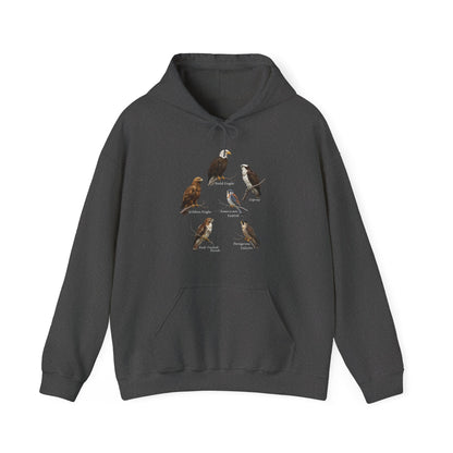 North American Raptors Hoodie – Bald Eagle, Hawk & Osprey Pullover