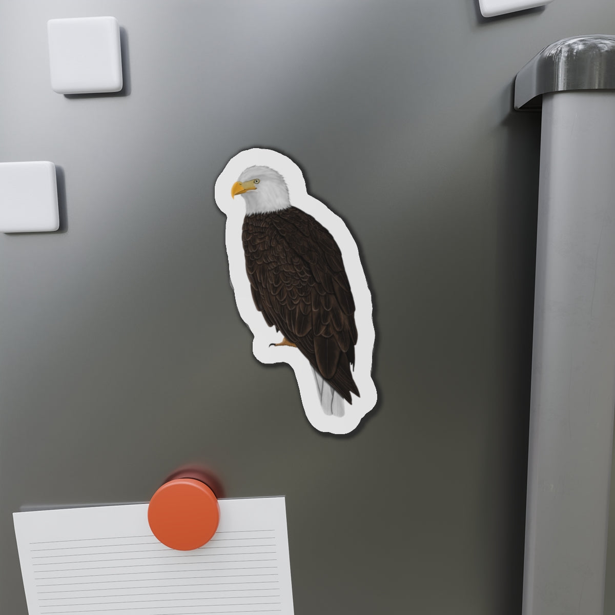 Bald Eagle Bird Magnet