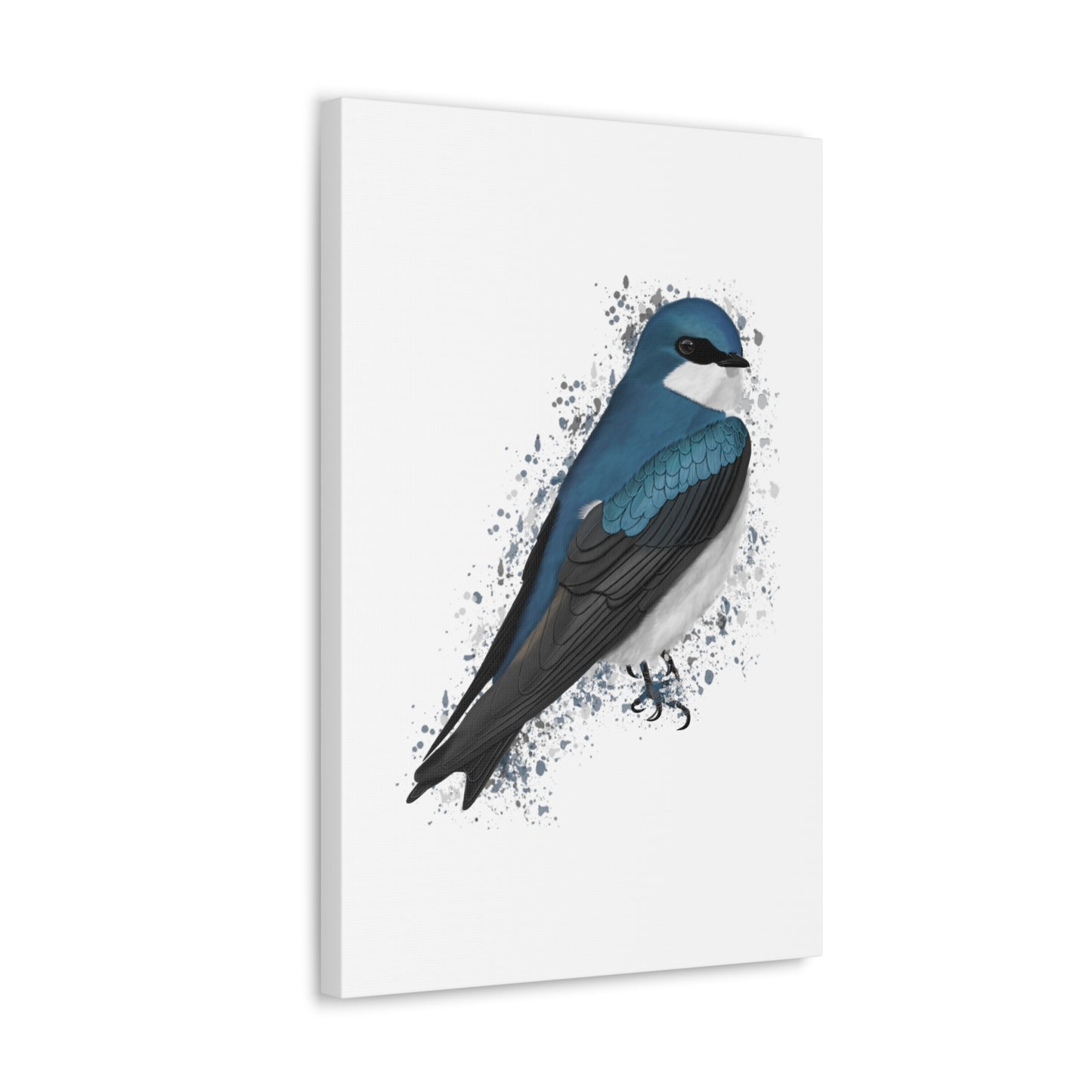 Tree Swallow Bird Canvas Gallery Wrap White - jz.birds