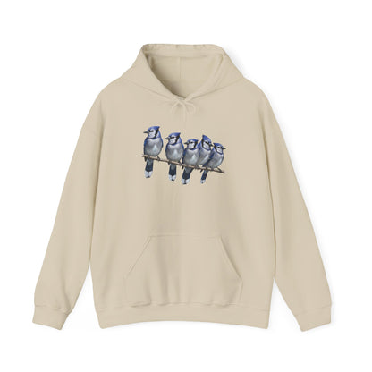 Blue Jays Hoodie Bird Lover & Bird Watcher | Unisex Sweater | Gift for Bird Lovers